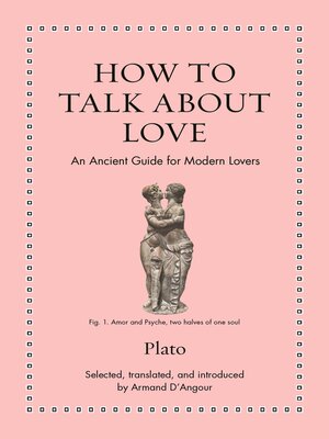 cover image of Playing With Signs